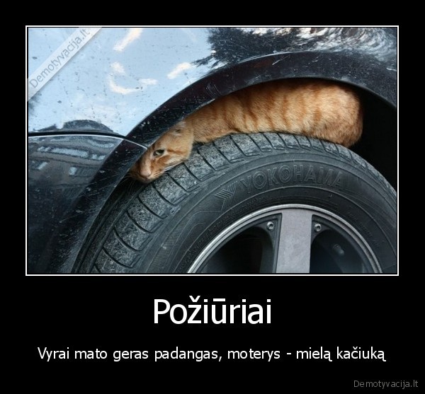 Požiūriai