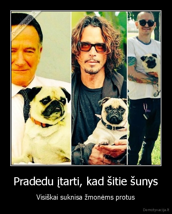 suo,sutapimas,savizudybes