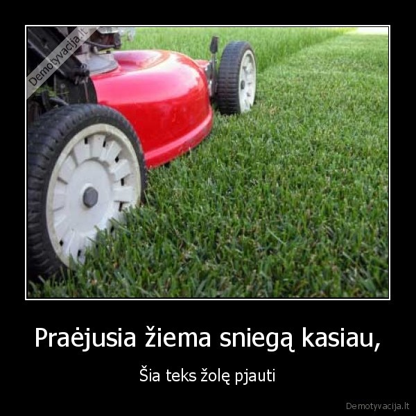 zole, ne, sniegas