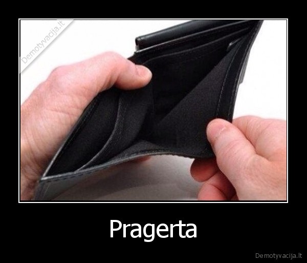 pinigai,pinigine,gerti