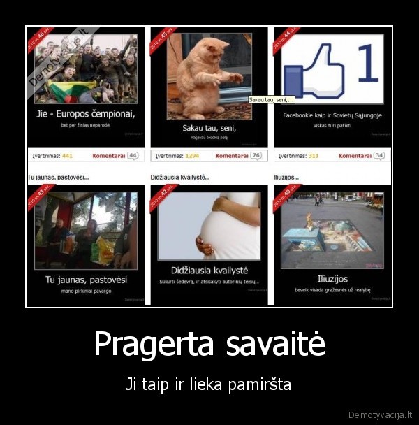 beer, vodka