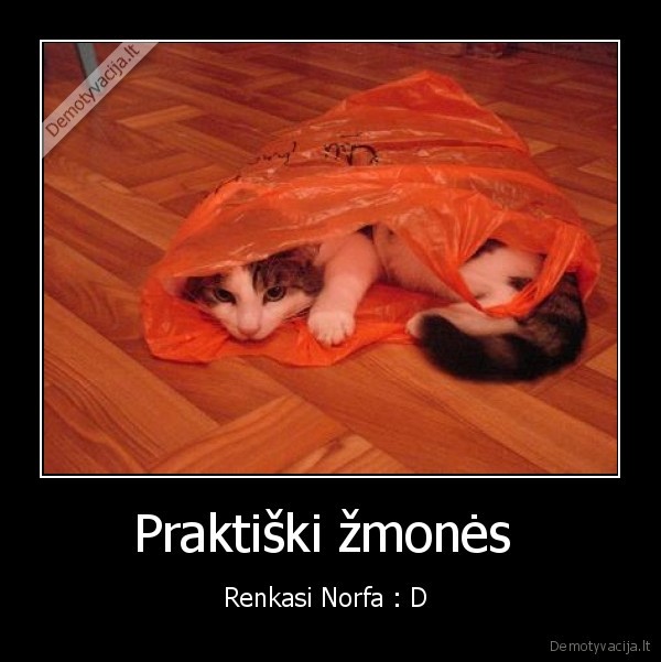 Praktiški žmonės 