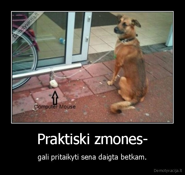 Praktiski zmones-