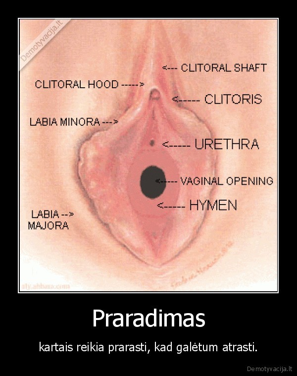 clk, meile, sex
