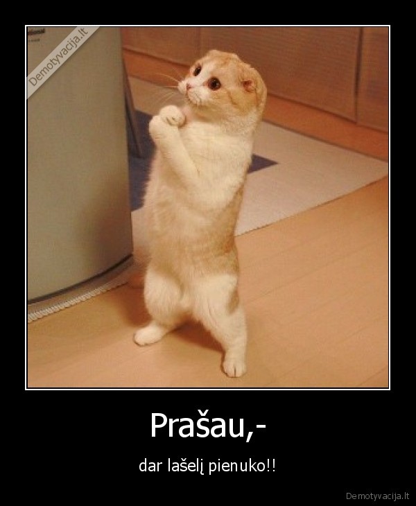 Prašau,-