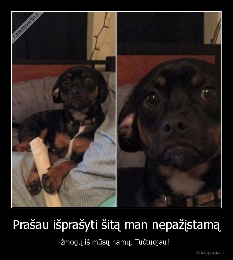 suo,piktas,prasymas