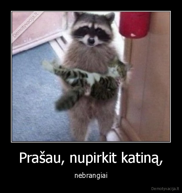katinas,parduoda