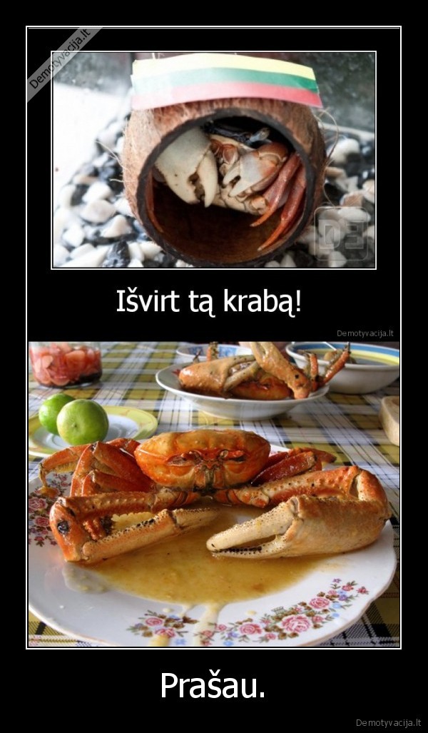 nedekokit