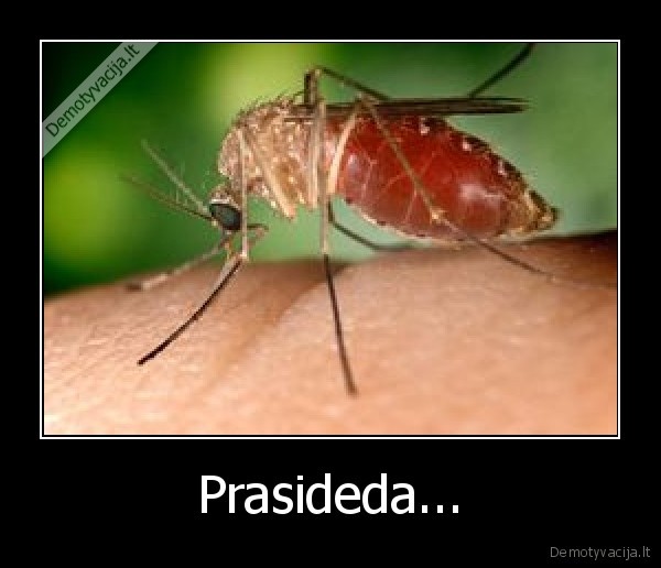 Prasideda...