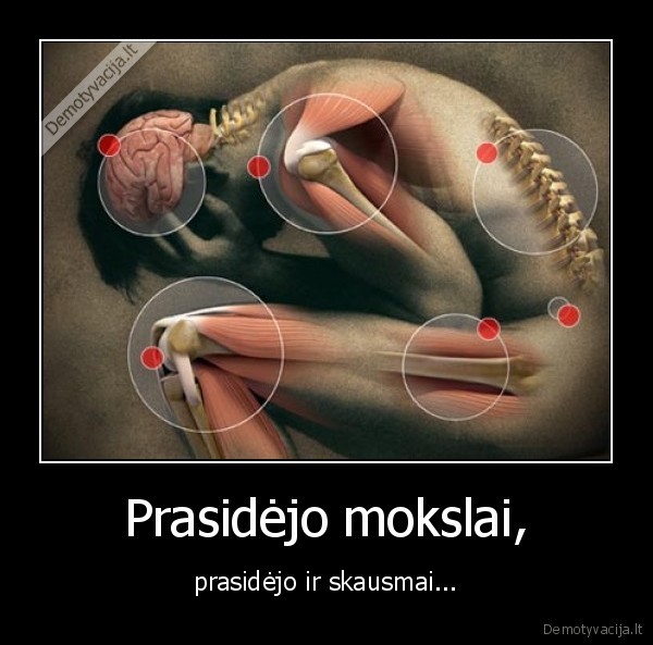 vasara,mokslai,tankas,mokimiasis,matiematika