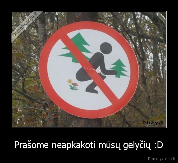 Prašome neapkakoti mūsų gelyčių :D