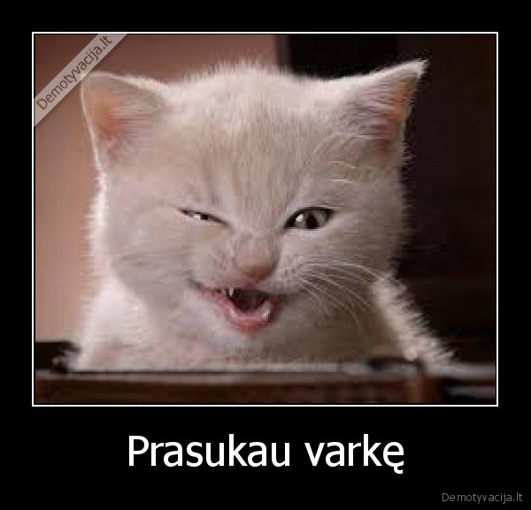 Prasukau varkę