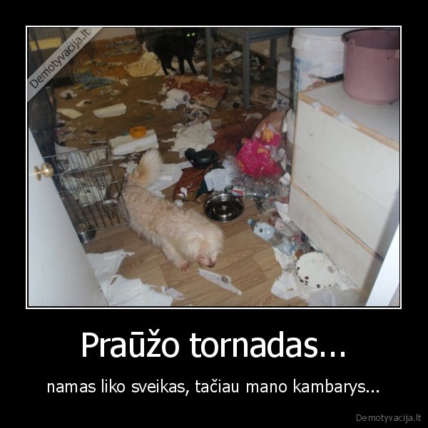 Praūžo tornadas...