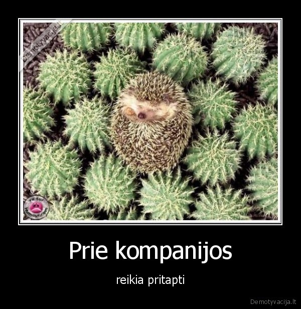 Prie kompanijos
