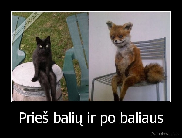 balius