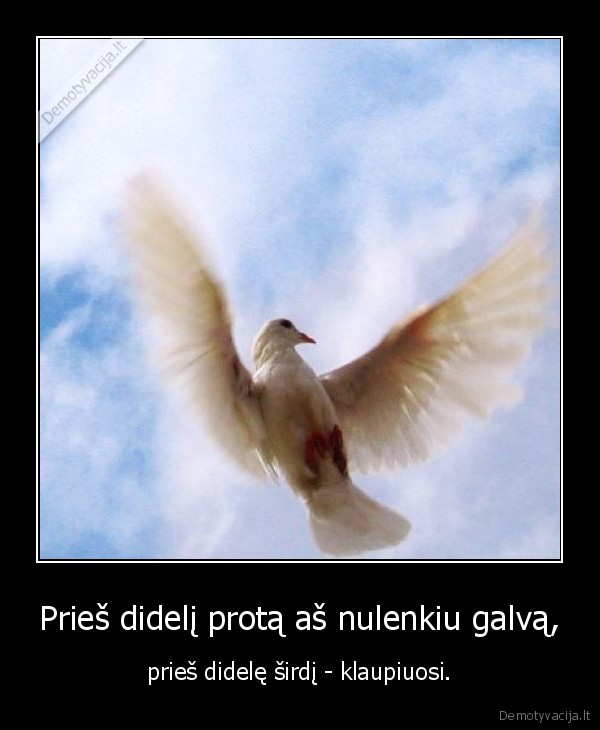 Prieš didelį protą aš nulenkiu galvą,