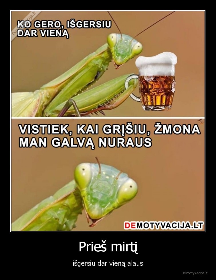 alus,alkoholis,zmona,vyras