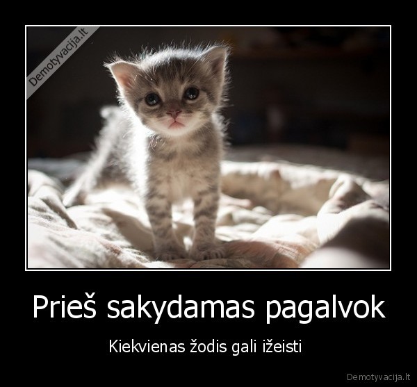 Prieš sakydamas pagalvok