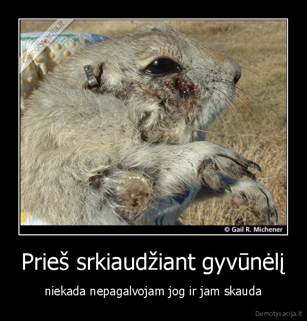 Prieš srkiaudžiant gyvūnėlį