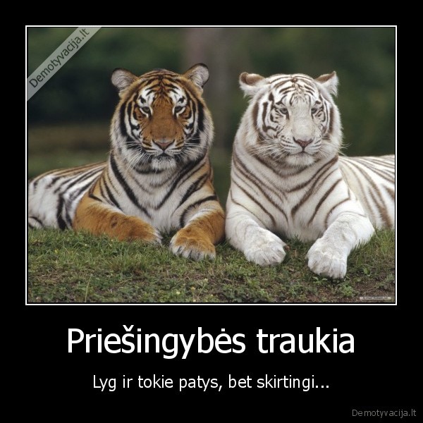 Priešingybės traukia