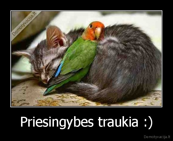 Priesingybes traukia :)