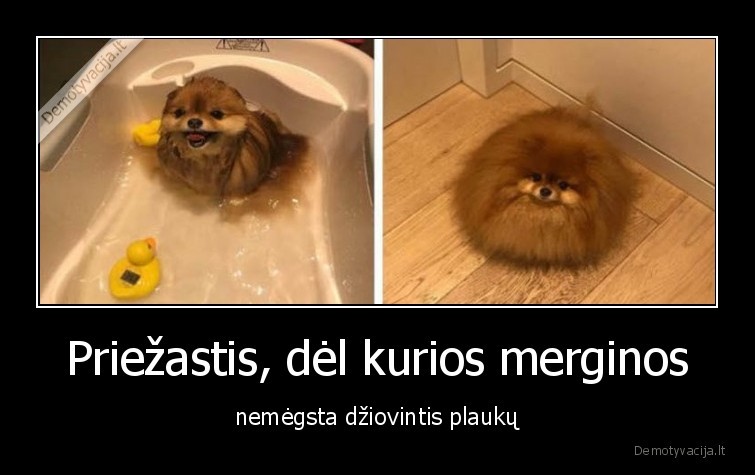 plaukai,dziovintuvas,merginos,sukuosena