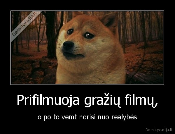 realybe,vemti