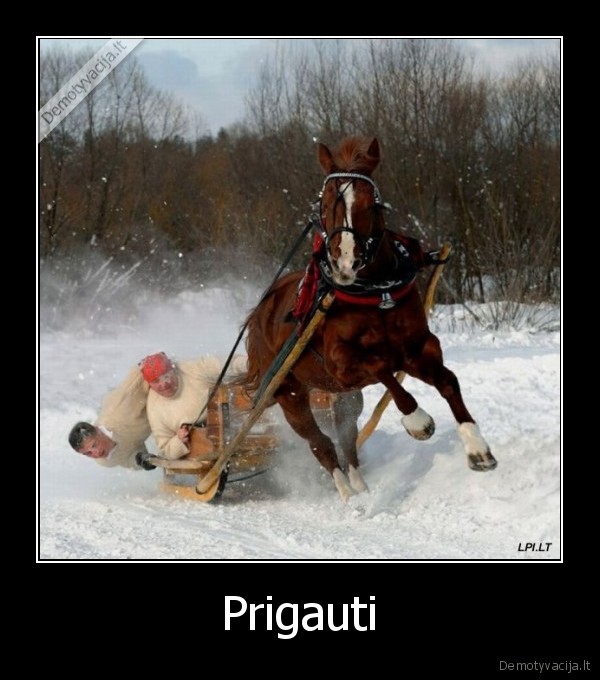 pzda,krc