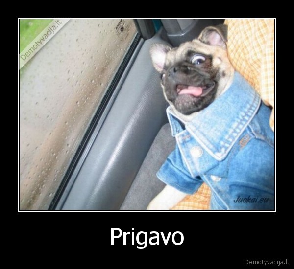 prigavo, suo, kas, gimtu, jei, petruskevicius, pasimyletu, su, gulbe