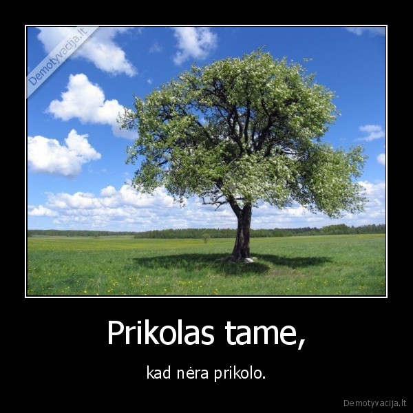 nesamone