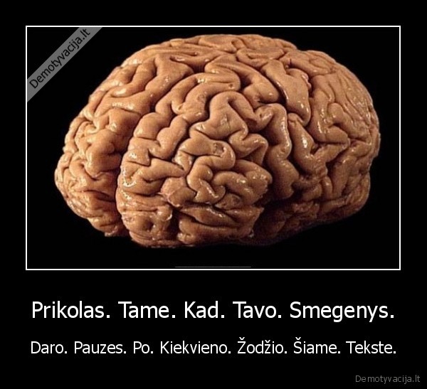 smegenys,isdurke