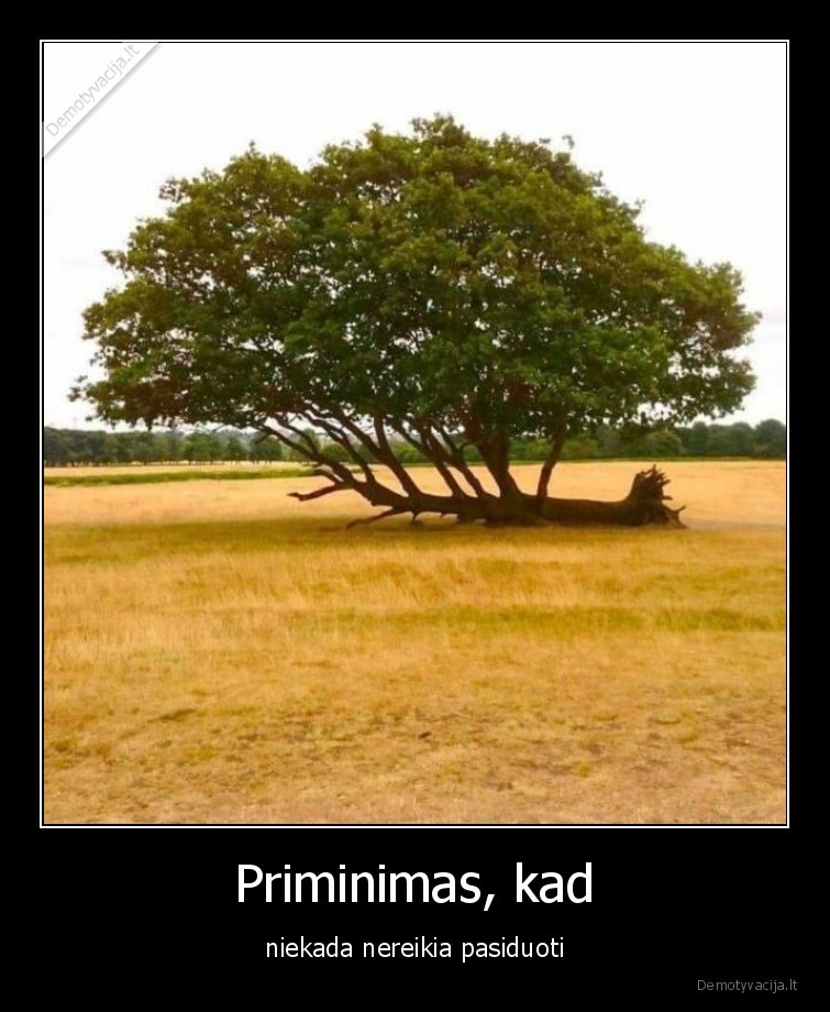 gamta,medis,niekada,nereikia,pasiduoti