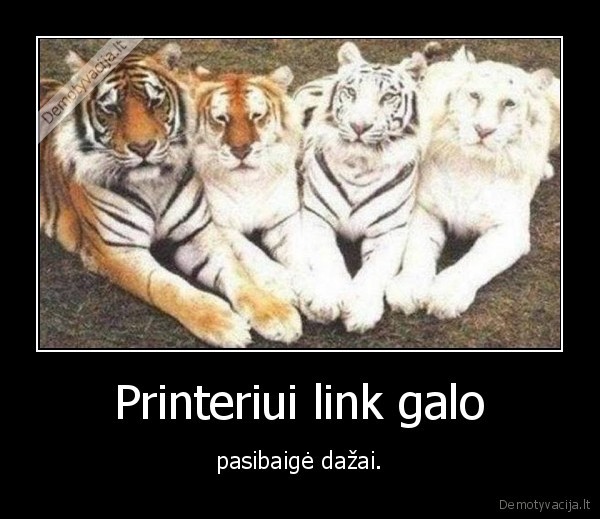 tigrai,printeris,dazai