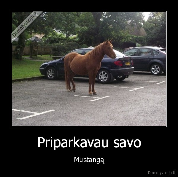 mustangas,arklys,parkingas