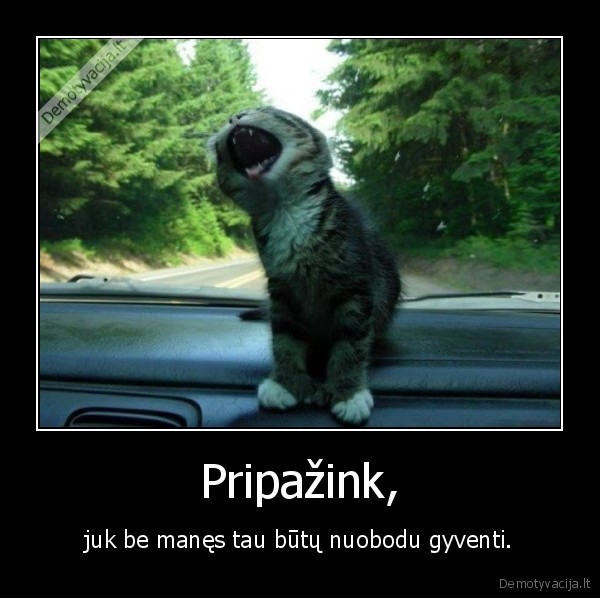 Pripažink,