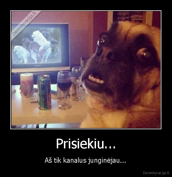 sunu, porno,suo, ziuri, televizoriu