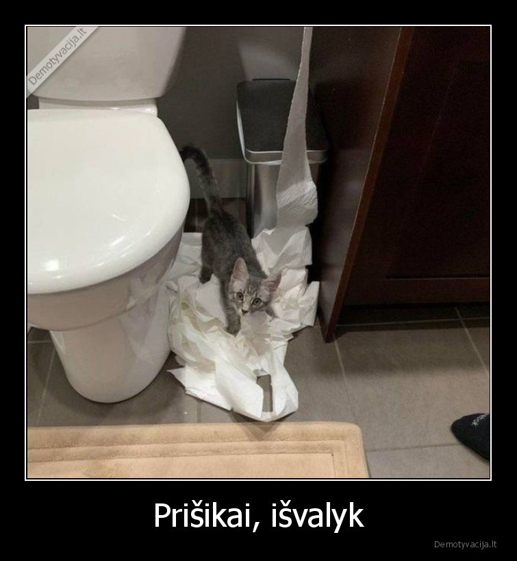 katinas,prisikai,popierius