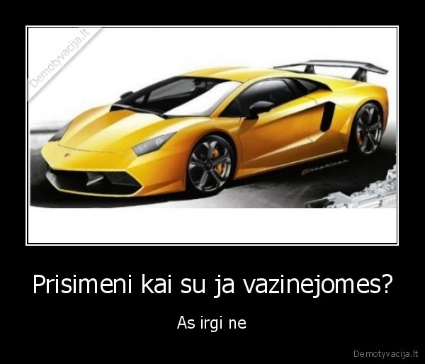 man, patinka, lamborghini