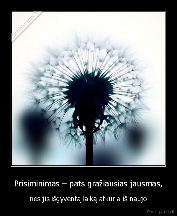 Prisiminimas – pats gražiausias jausmas,