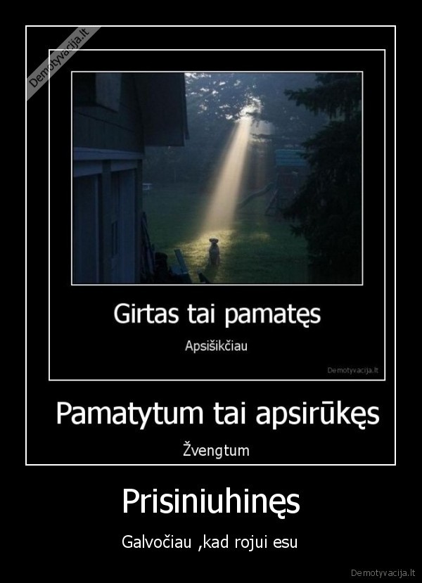 rojus,amfa
