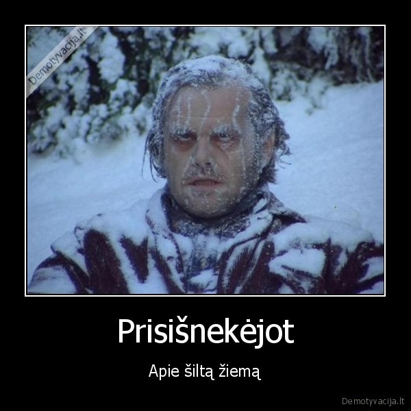 ziema,salciai