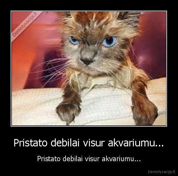 pristato, debilai, visur, akvariumu