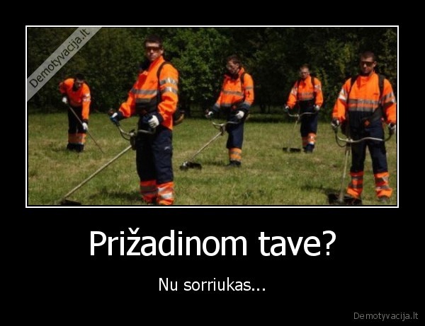 zole,pjauti