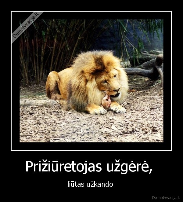 Prižiūretojas užgėrė, 