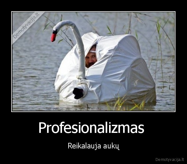 Profesionalizmas 