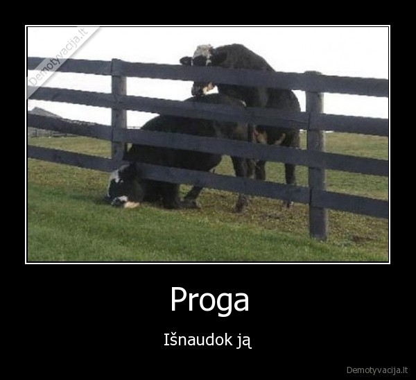 karve,proga,gamta