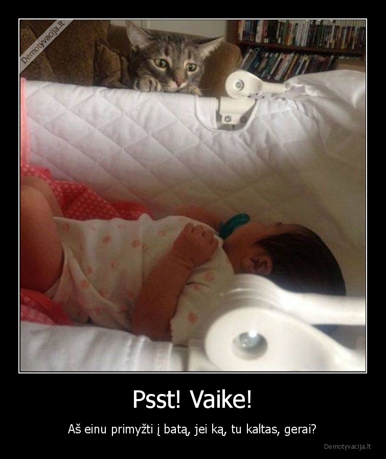 katinas,vaikas,katinai, su, vaikais