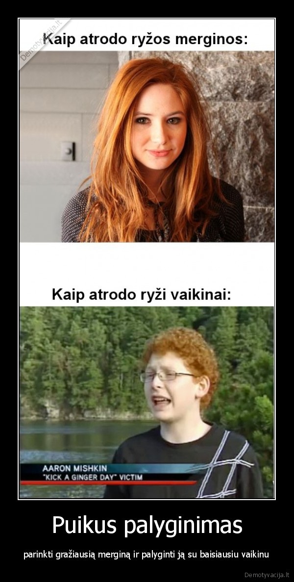 Puikus palyginimas