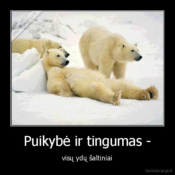 Puikybė ir tingumas -
