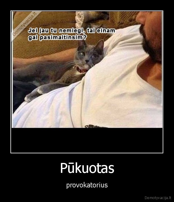 katinas,maistas